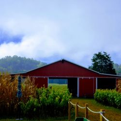 Kyker Farms Corn Maze