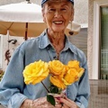Armstrong Garden Centers - One of my 17 roses from Armstrong! - Nurseries & Gardening Near Me - Carlsbad, California Armstrong Garden Centers - One of my 17 roses from Armstrong! - Nurseries & Gardening Near Me - Carlsbad, California