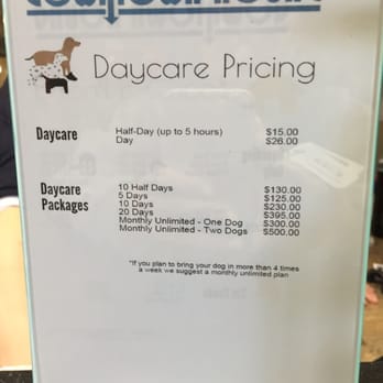 Downtown Hound - Pet Sitting Near Me - Omaha, Nebraska