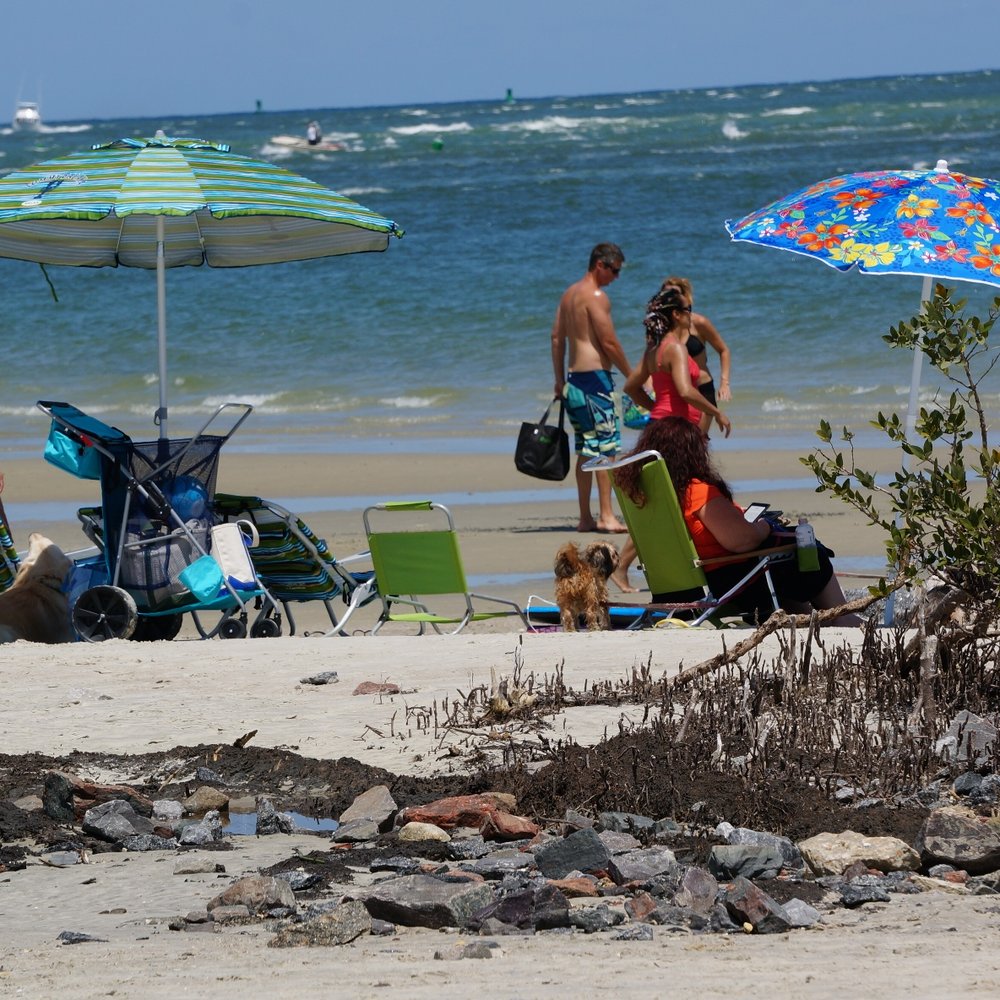 Dog Friendly Beach Dog Friendly Beach