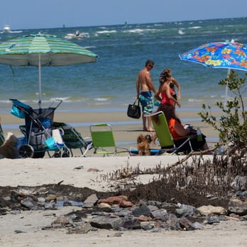 Lighthouse Point Park - Dog Friendly Beach - Parks Near Me - Ponce Inlet, Florida