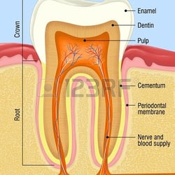 Modern Endodontics - Root Canal Therapy