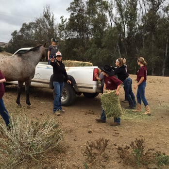 Heavens Ranch Norco - Summer camp 2016 feeding in the 33 acre pasture! - Horseback Riding Near Me - Norco, California