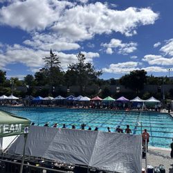 Beautiful pool, gorgeous weekend!