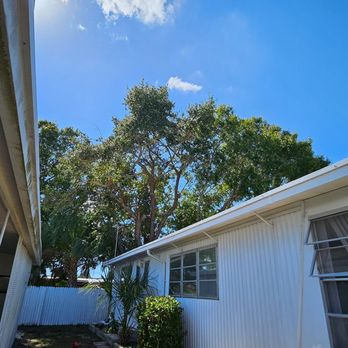 Tree Roadhouse - Tree Services Near Me - Largo, Florida Tree Roadhouse - Tree Services Near Me - Largo, Florida