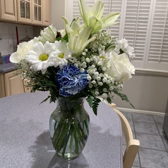 Modern Animal Lakewood - Condolence flowers from Modern Animal- Lakewood. Could have knocked me over. - Veterinarians Near Me - Dallas, Texas