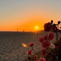 Huntington Dog Beach - Sometimes, I drive myself out here just so I can see you...Sunset 4/21/25 @ 7:15pm