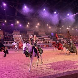 Medieval Times Dinner & Tournament