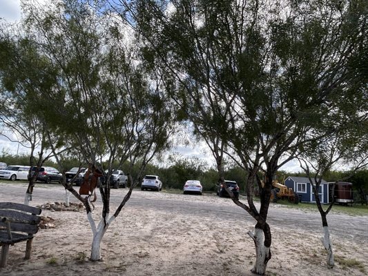 EL COMAL RANCH - Updated March 2026 - 12 Photos - 133 W Gomez St ...