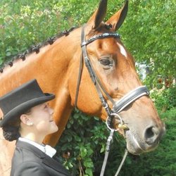 Lauren Gibson Dressage