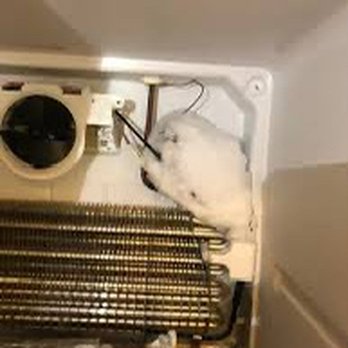 District Appliance Services - Defrost problem repair - Appliances & Repair Near Me - Arlington, Virginia District Appliance Services - Defrost problem repair - Appliances & Repair Near Me - Arlington, Virginia