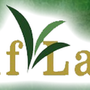 Gulf Lawns & Tree Service