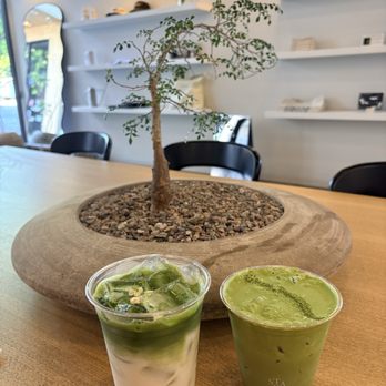 Stagger Coffee - Jasmine Matcha Double Matcha - Coffee & Tea Near Me - Los Angeles, California Stagger Coffee - Jasmine Matcha Double Matcha - Coffee & Tea Near Me - Los Angeles, California