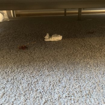 Siebert Realty - Garbage found under beds when we arrived - Vacation Rentals Near Me - Virginia Beach, Virginia