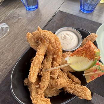 Vista - Katsu calamari fries - Bars Near Me - Hermosa Beach, California
