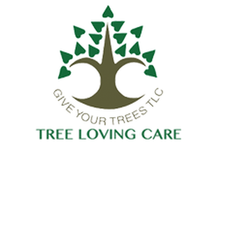 Tree Loving Care - Tree Services Near Me - Midland, Texas Tree Loving Care - Tree Services Near Me - Midland, Texas