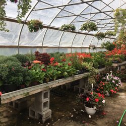 Echo Nursery Garden