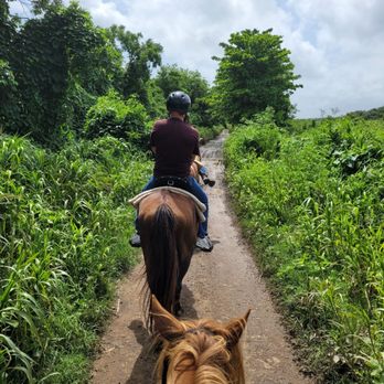 Campo Rico Trail Rides - Plantation fields - ATV Rentals/Tours Near Me - Carolina, Puerto Rico Campo Rico Trail Rides - Plantation fields - ATV Rentals/Tours Near Me - Carolina, Puerto Rico
