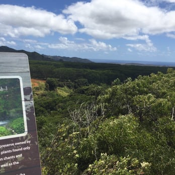 Shaka Zipline - Ziplining Near Me - Koloa, Hawaii Shaka Zipline - Ziplining Near Me - Koloa, Hawaii