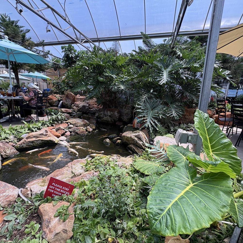 Cafe At The Gardens - Plants and koi pond - Cafes Near Me - Midland, Texas Cafe At The Gardens - Plants and koi pond - Cafes Near Me - Midland, Texas