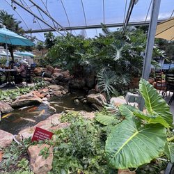 Cafe At The Gardens - Plants and koi pond