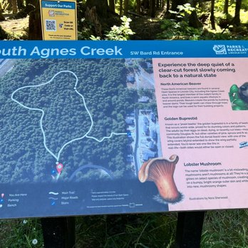 Agnes Creek Open Space - Agnes Creek - South - Hiking Near Me - Lincoln City, Oregon Agnes Creek Open Space - Agnes Creek - South - Hiking Near Me - Lincoln City, Oregon