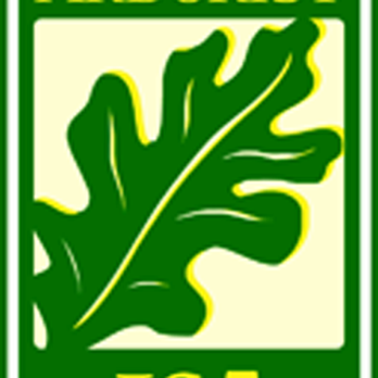 AllPro Tree & Landscaping - certified arborist - Tree Services Near Me