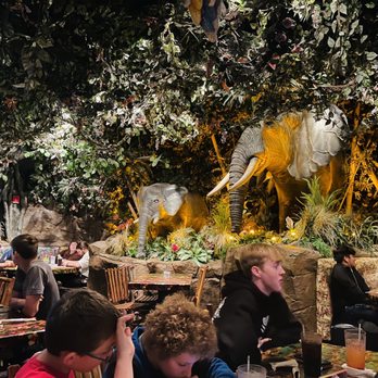 Rainforest Cafe - American Near Me - Galveston, Texas Rainforest Cafe - American Near Me - Galveston, Texas