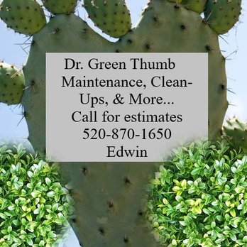 Dr. Green Thumb - a cactus plant with the words maintenance, clean - ups, and more call for estimates - Landscaping Near Me Dr. Green Thumb - a cactus plant with the words maintenance, clean - ups, and more call for estimates - Landscaping Near Me