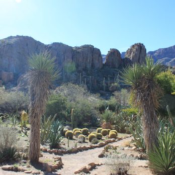 Boyce Thompson Arboretum - Cactus and hills - Botanical Gardens Near Me - Superior, Arizona