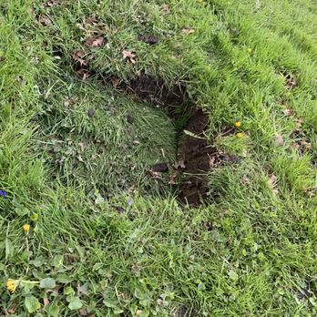 Roof One - They tore up my yard - I have a giant hole a foot deep in the middle of the front of my yard. - Roofing Near Me - Pontiac, Michigan Roof One - They tore up my yard - I have a giant hole a foot deep in the middle of the front of my yard. - Roofing Near Me - Pontiac, Michigan