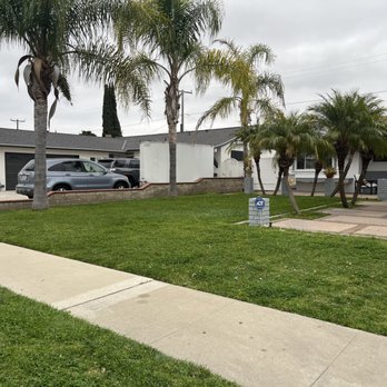 Ancira Landscaping - Before - Landscaping Near Me