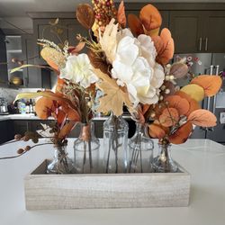 Blue Orchid - Perfect fall centerpiece