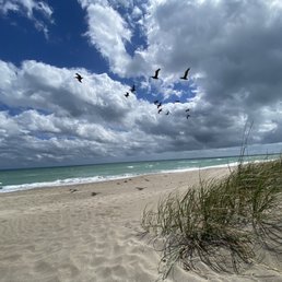 Just the beach! Just the beach!