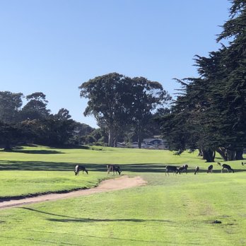 Pacific Grove Golf Links - Hole 5 deer meadow - Golf Near Me - Pacific Grove, California Pacific Grove Golf Links - Hole 5 deer meadow - Golf Near Me - Pacific Grove, California