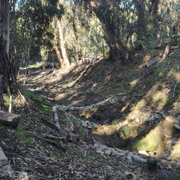 Creek improvements in the main Grove Creek improvements in the main Grove
