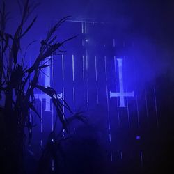 Trail of Terror