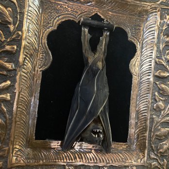 Tooth and Veil Oddities And Macabre Shop - It's Bat season ! - Antiques Near Me - El Paso, Texas Tooth and Veil Oddities And Macabre Shop - It's Bat season ! - Antiques Near Me - El Paso, Texas