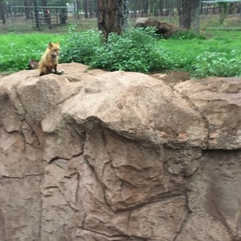 Bearizona - Zoos Near Me - Williams, Arizona