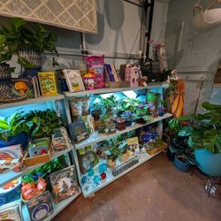 Mother Earth Gardens - Meow plants and other goodies!