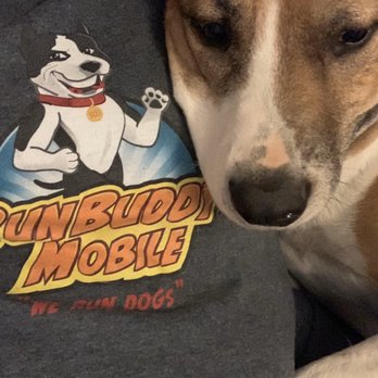 RunBuddy Mobile - They love run buddy - Pet Training Near Me RunBuddy Mobile - They love run buddy - Pet Training Near Me
