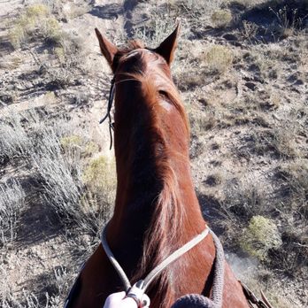 Santa Fe Western Adventures - Party & Event Planning Near Me - Santa Fe, New Mexico Santa Fe Western Adventures - Party & Event Planning Near Me - Santa Fe, New Mexico