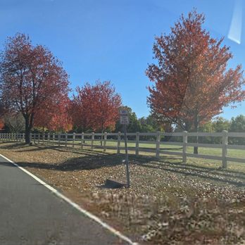Colonial Park - Autumn leaves - Parks Near Me - Franklin Township, New Jersey Colonial Park - Autumn leaves - Parks Near Me - Franklin Township, New Jersey