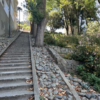 Adah's Stairway - Looking up the stairs from the bottom - Local Flavor Near Me - San Francisco, California Adah's Stairway - Looking up the stairs from the bottom - Local Flavor Near Me - San Francisco, California