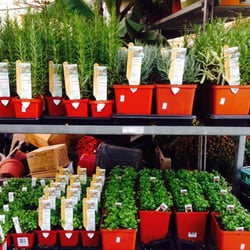Natty Garden