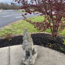 Timmy the Timberwolf