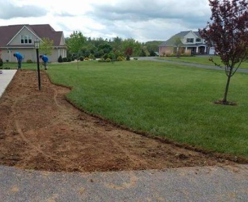 Lawn Services - Are you tired of committing to lengthy contracts? Are you tired of paying for grass mowings when the grass isn't growing? If so, then Sunnyside Lawn Care is the Company for you! Sunnyside Lawn Care doesn't require residential customers to sign a contract. If the grass doesn't GROW, then we don't MOW!
Our main Lawn Care services include:
Mowing
Mulching
Pruning
Seeding
Fertilization
Weeding
Aeration
Tree Service
Clean Up
Brush Removal
Gutter Cleaning Lawn Services - Are you tired of committing to lengthy contracts? Are you tired of paying for grass mowings when the grass isn't growing? If so, then Sunnyside Lawn Care is the Company for you! Sunnyside Lawn Care doesn't require residential customers to sign a contract. If the grass doesn't GROW, then we don't MOW!
Our main Lawn Care services include:
Mowing
Mulching
Pruning
Seeding
Fertilization
Weeding
Aeration
Tree Service
Clean Up
Brush Removal
Gutter Cleaning