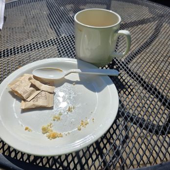 Seven Stars Bakery - The invisible Ginger Scone and cup of Dark Roast. I promise next time I'll take a phot before I devour my treat! - Bakeries Near Me - Providence, Rhode Island Seven Stars Bakery - The invisible Ginger Scone and cup of Dark Roast. I promise next time I'll take a phot before I devour my treat! - Bakeries Near Me - Providence, Rhode Island