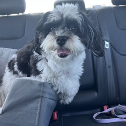 Gracie's Before (In the car right before her appointment): Gracie's Before (In the car right before her appointment):