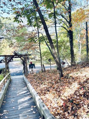 Nature Center at Greenburgh by null
